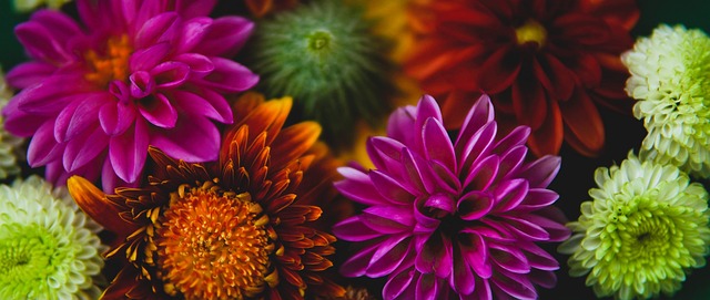 图卢兹加纳国脚阿布-弗朗西斯友谊赛重伤，法甲官方送上祝福