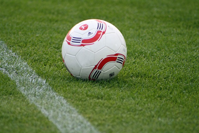 斐济一战中 斐济一战中