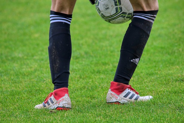 凭借过硬的 凭借过硬的