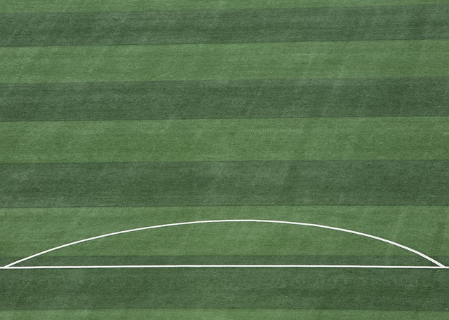 拔河比赛 拔河比赛