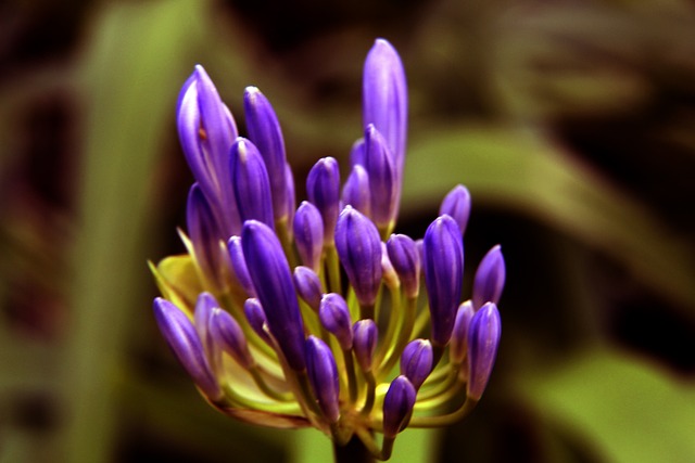 到球星发挥 到球星发挥