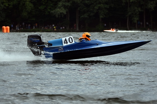 卡纳莱斯率 卡纳莱斯率