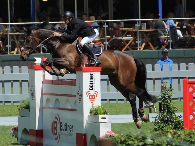 从王大雷事 从王大雷事